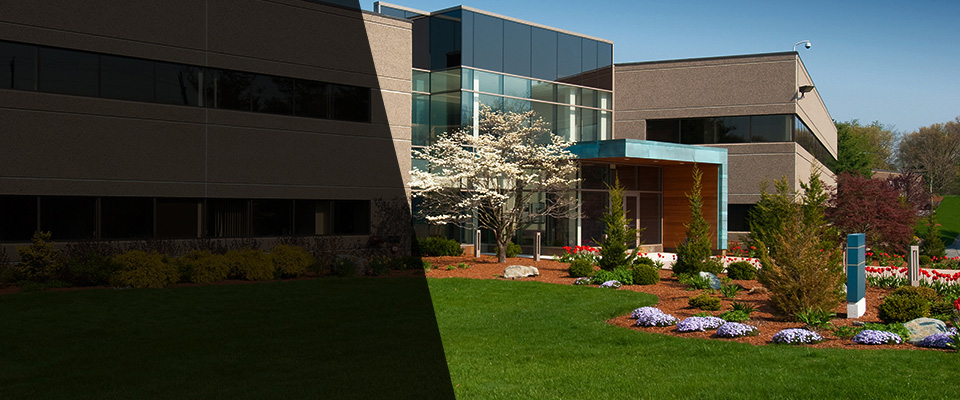 Alva Landscapers